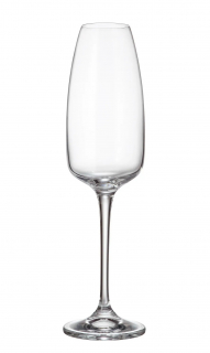 ANSER - Set 6 pahare sticla cristalina sampanie 290 ml