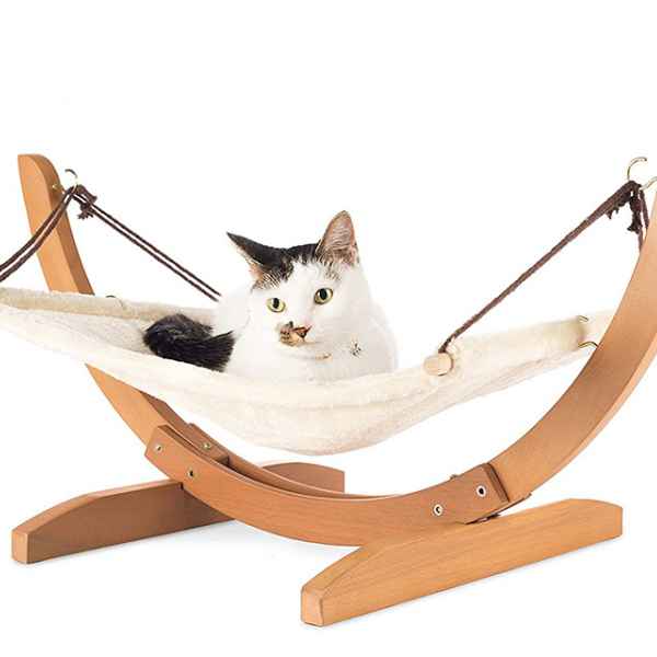 Cat bed